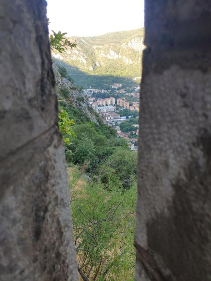 Guesthouse Lovcen コトル エクステリア 写真